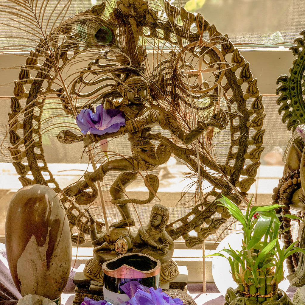 Dance The Cosmic Dance! The Five Tantric Acts of Shiva
