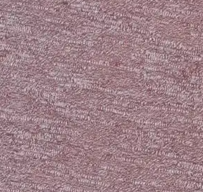 Bruce Lee Unisex High Performance SHORT SLEEVE CREW