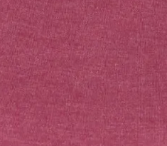 Paisley Om SHORT SLEEVE V-neck Crew