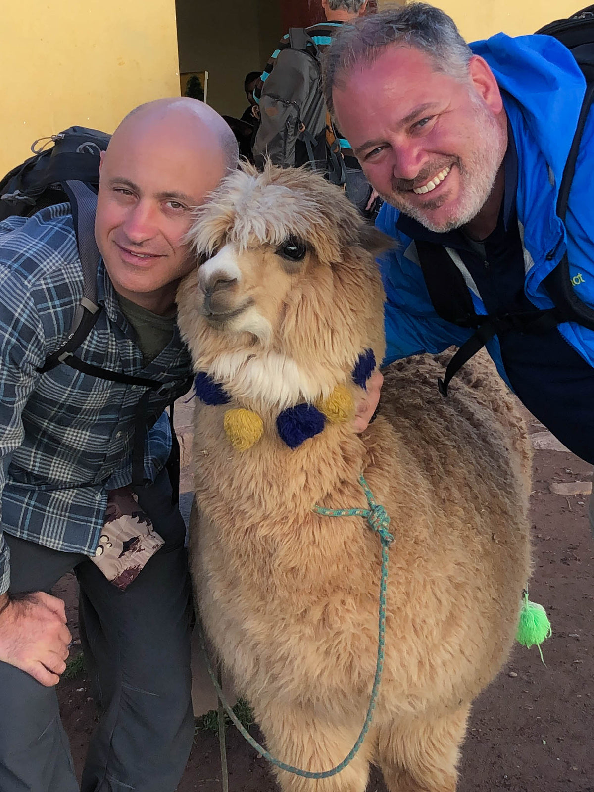 Suri Alpaca Unisex Slippers Handcrafted In Peru